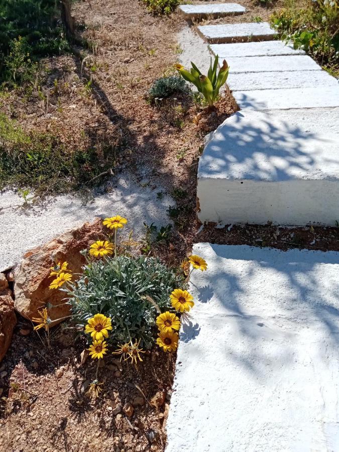 Trulli La Collinetta Villa มาร์ตินาฟรังกา ภายนอก รูปภาพ