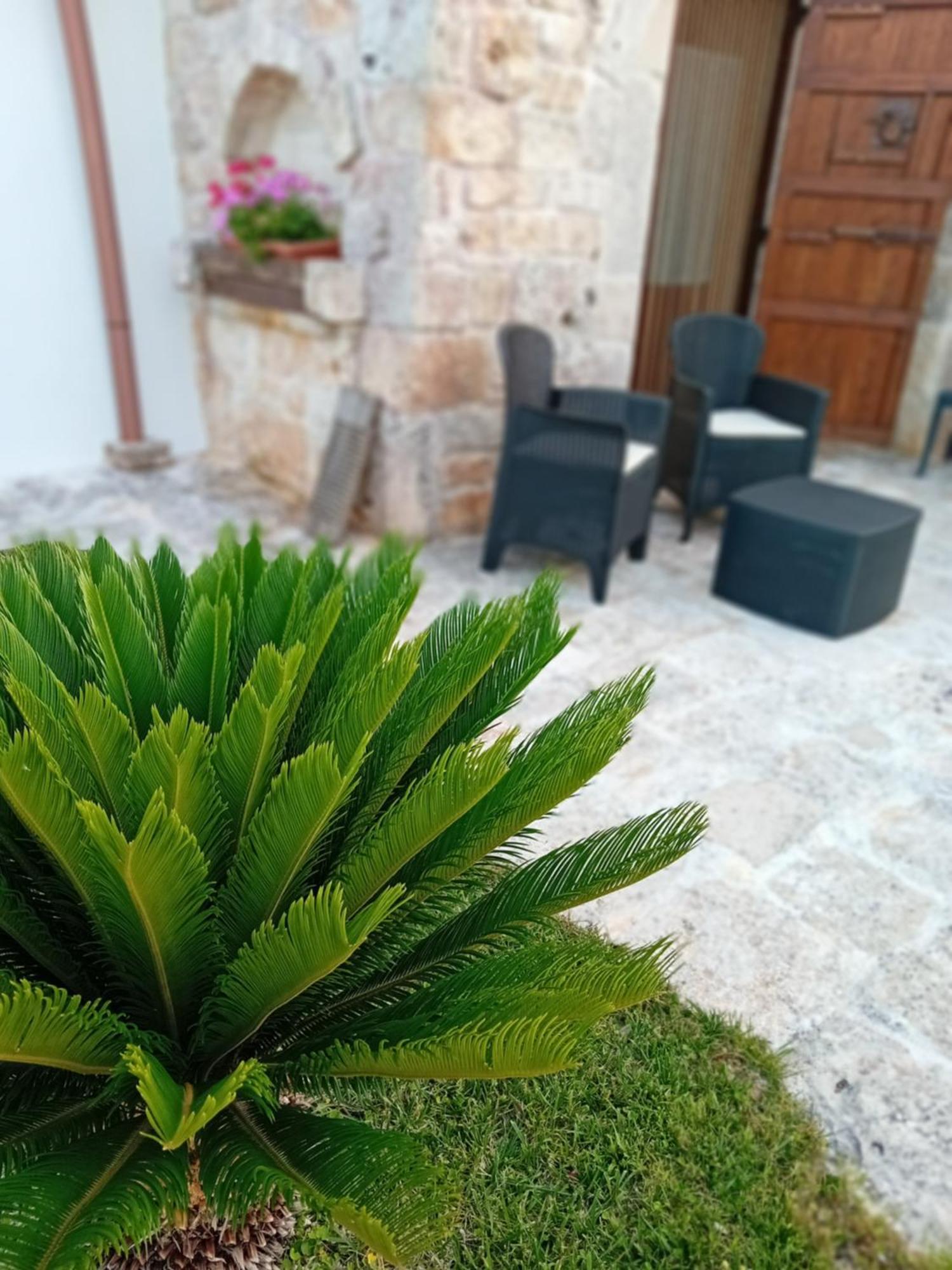 Trulli La Collinetta Villa มาร์ตินาฟรังกา ภายนอก รูปภาพ